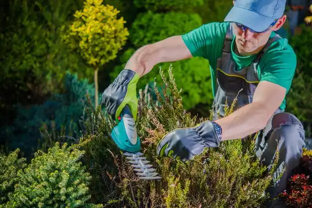 landscaping services Springfield